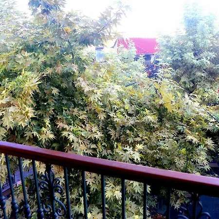 Paggaio Princess Hotel